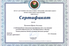 сертификат-2
